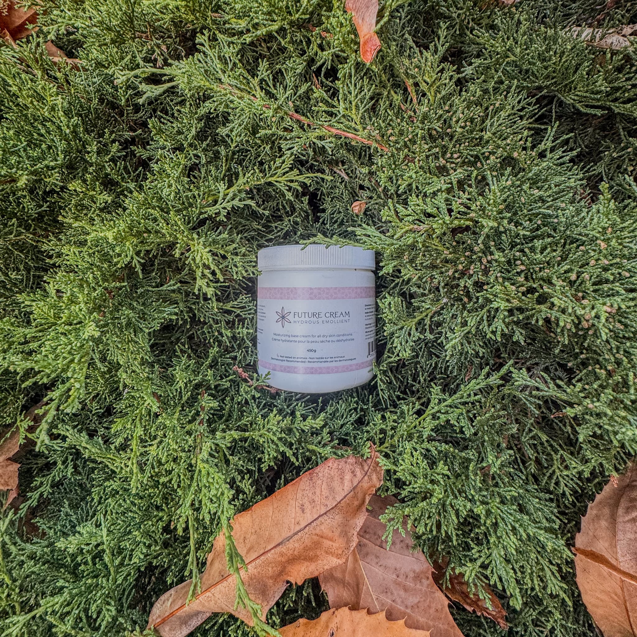 Fredericton Skincare With Future Cream