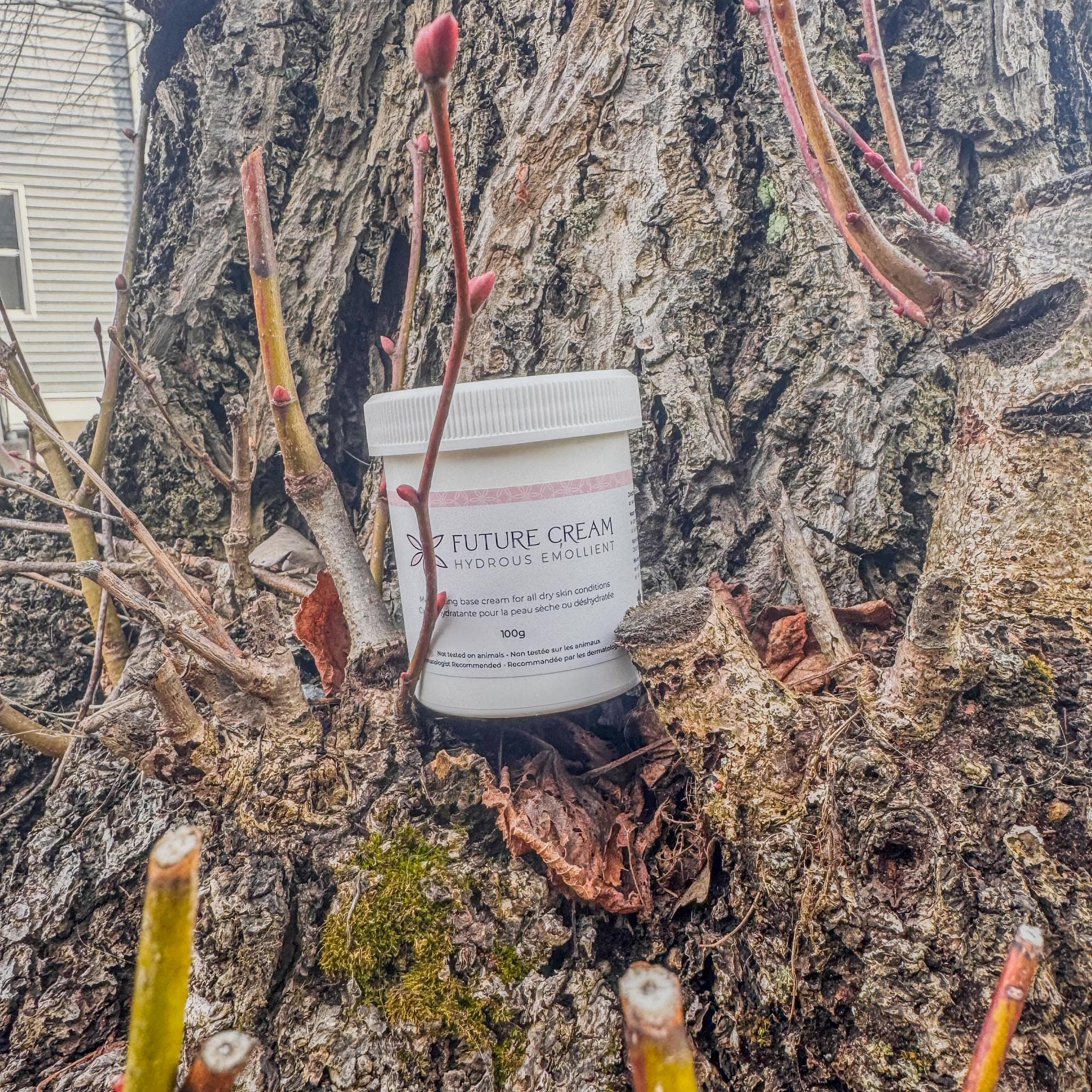 Hydrous Ointment Eczema Relief | Gentle, Long-Lasting Moisturiser for Sensitive Skin