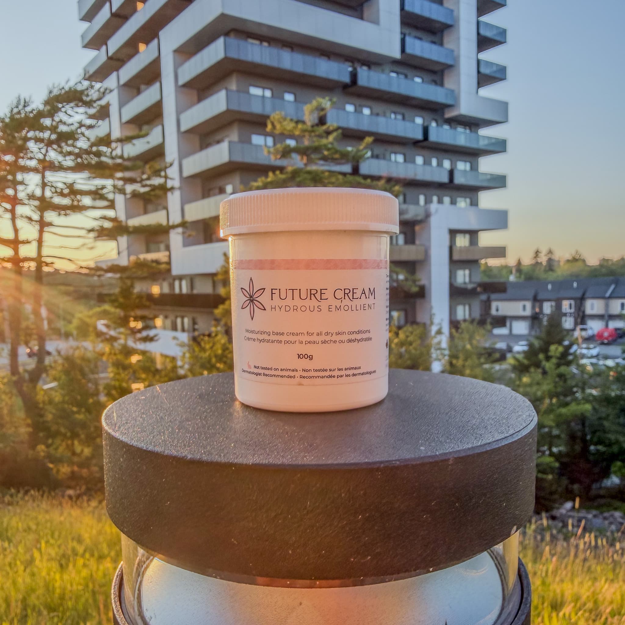 Future Cream in Halifax