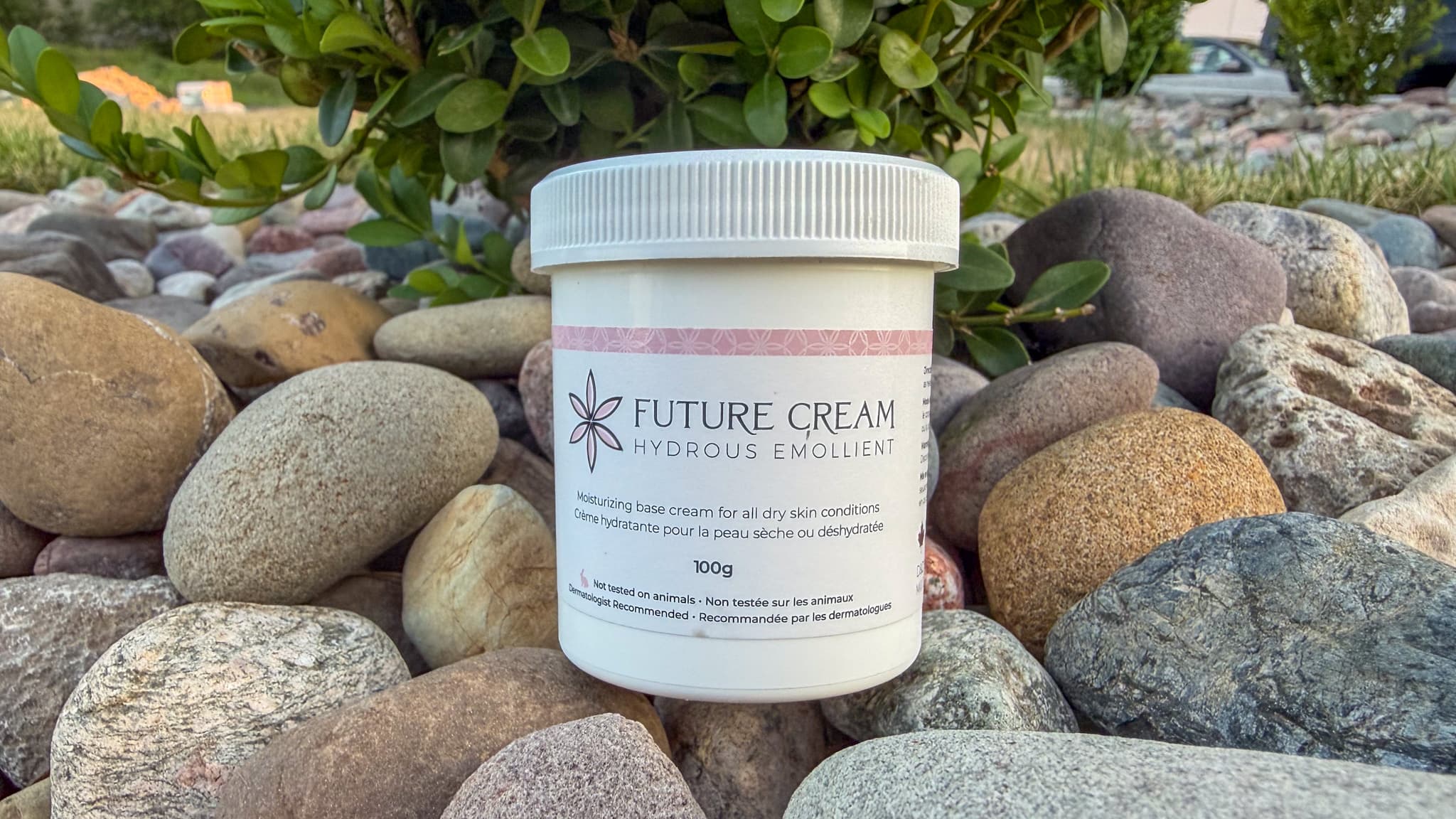 Future Cream in Atlantic Canada