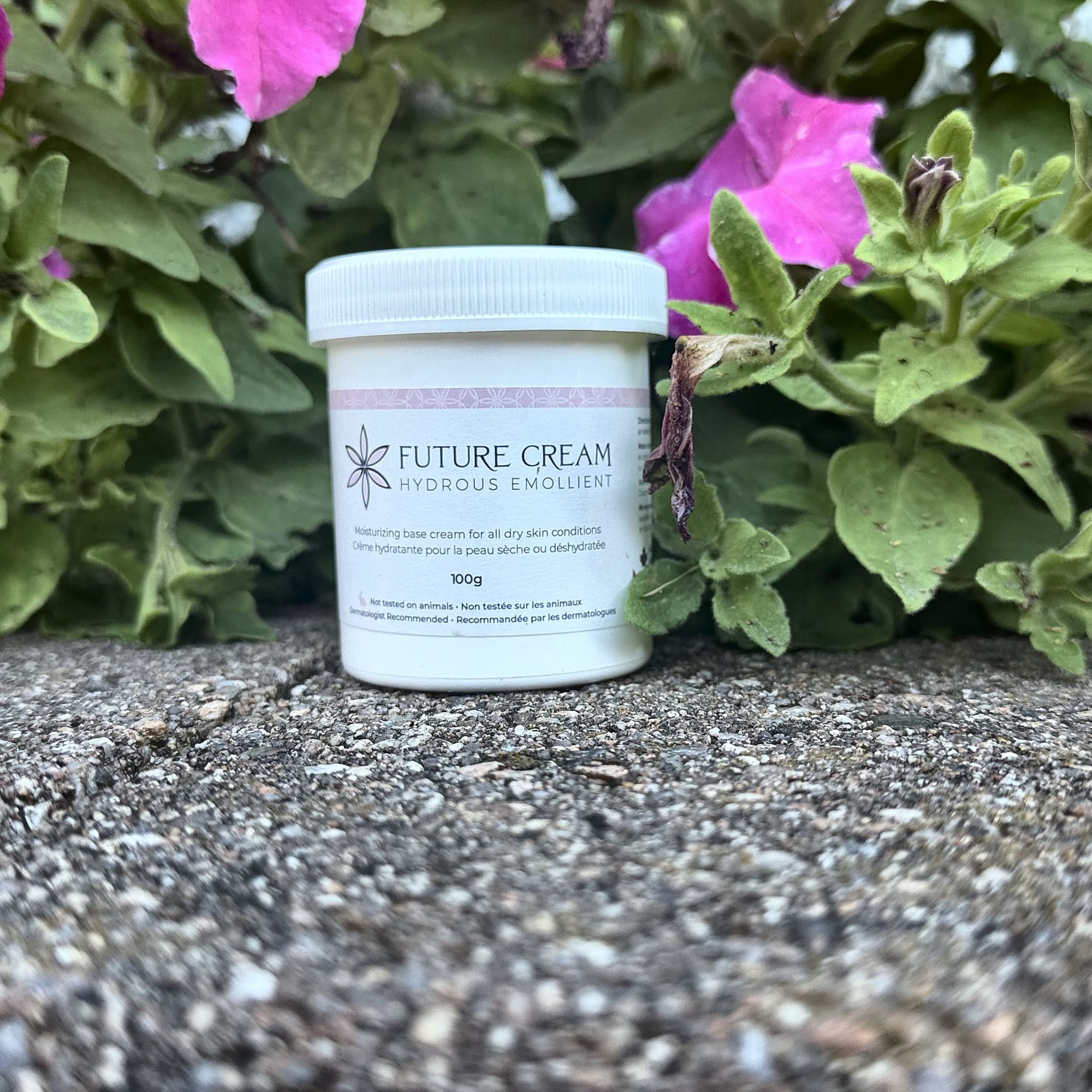 Best Fragrance-Free Moisturizers for Eczema in Canada (2026 Guide)