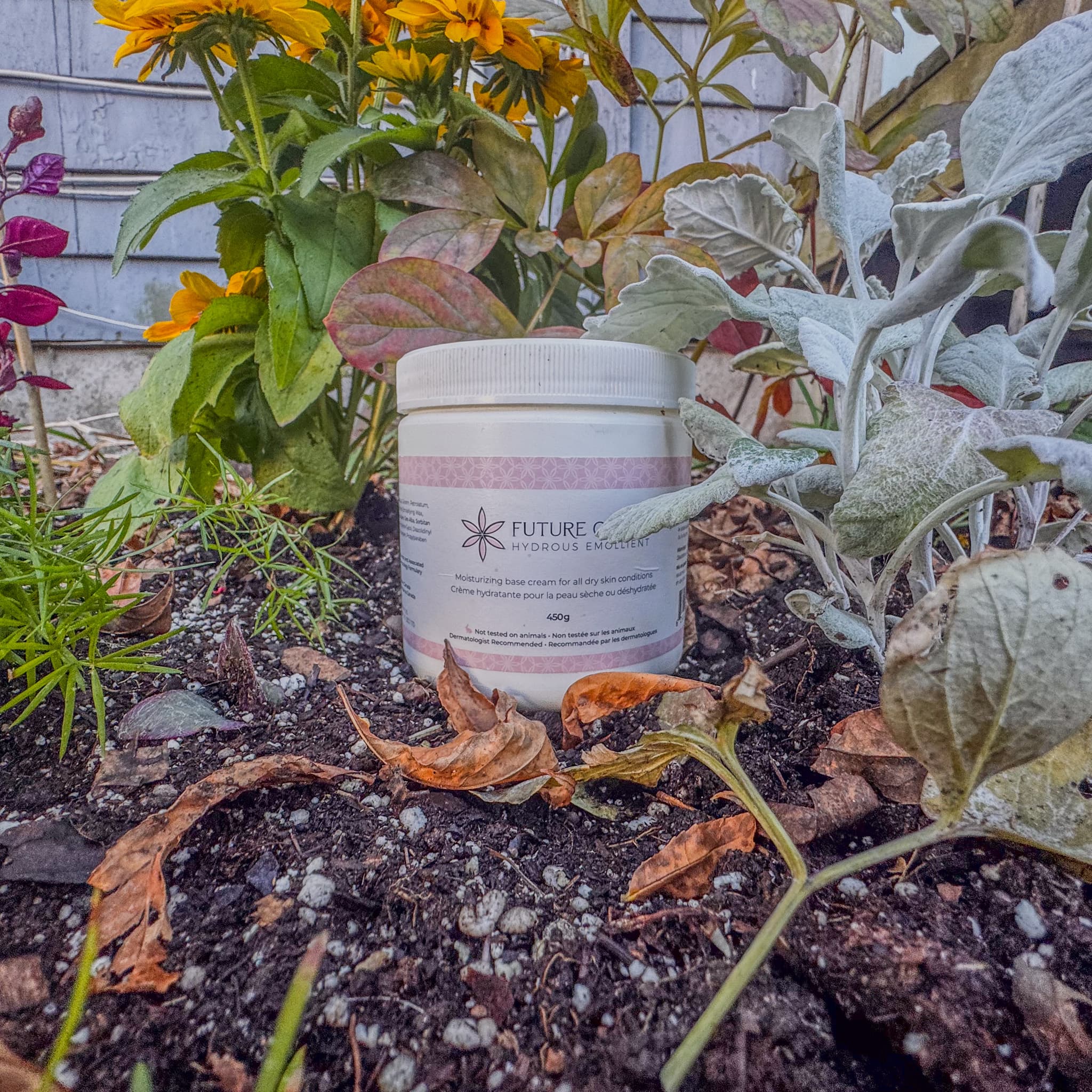 The Story of Future Cream: From a Halifax Kitchen to Canadian Pharmacies