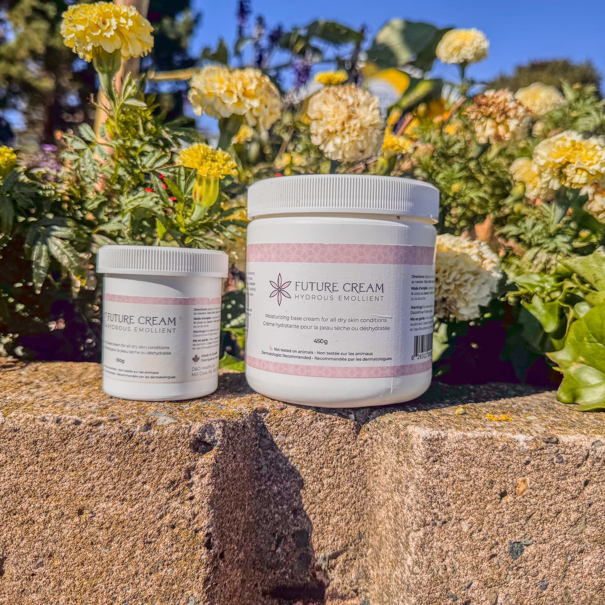 Why Your Skin Needs Daily Moisturizer