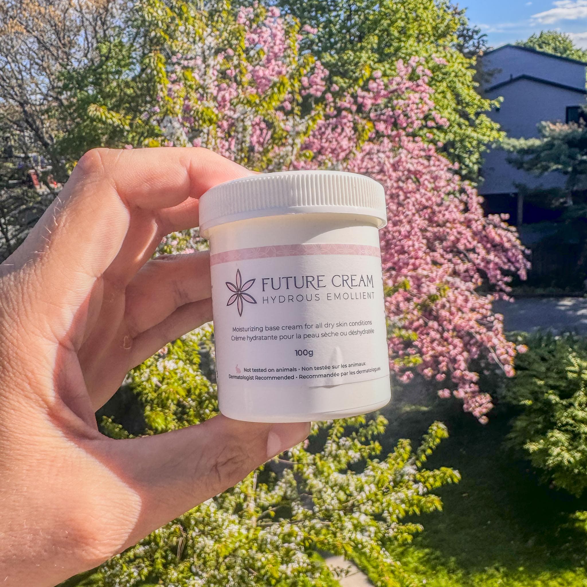 Where to Buy Hydrous Emollient Cream in Canada