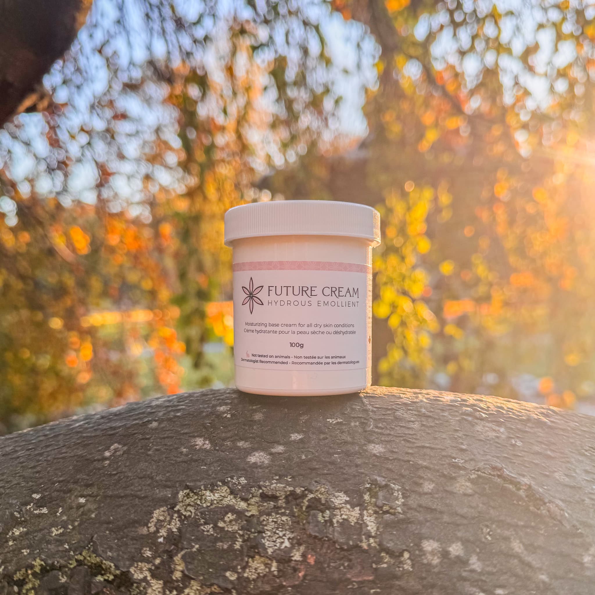 Dartmouth Living: Protecting Your Skin From Ocean Winds