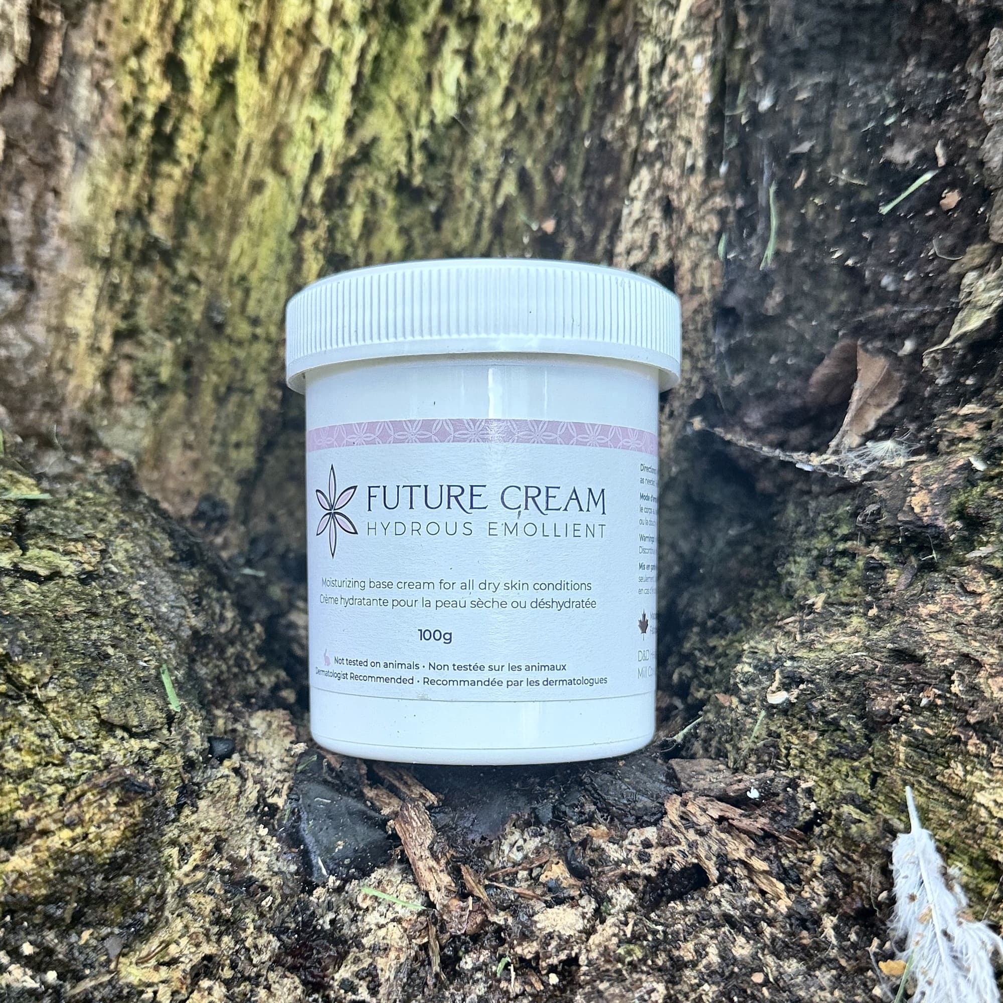 Eczema on the Face: A Safe, Gentle Routine for Adults